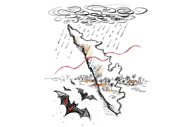 Nipah-Gefahr und Monsun: Klimawandel als Krankheits-Booster in Kerala